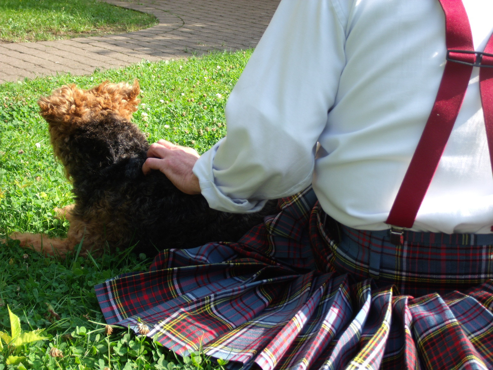 Sitzen beide so friedlich - Haggis Kugeln gefressen, Whisky getrunken. Hamburger Kugeln