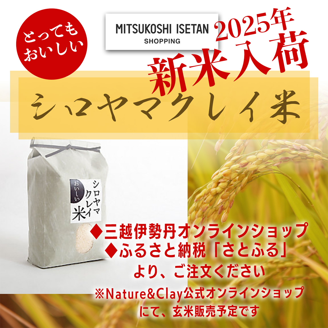 【新米】シロヤマクレイ米［三越伊勢丹オンライン］