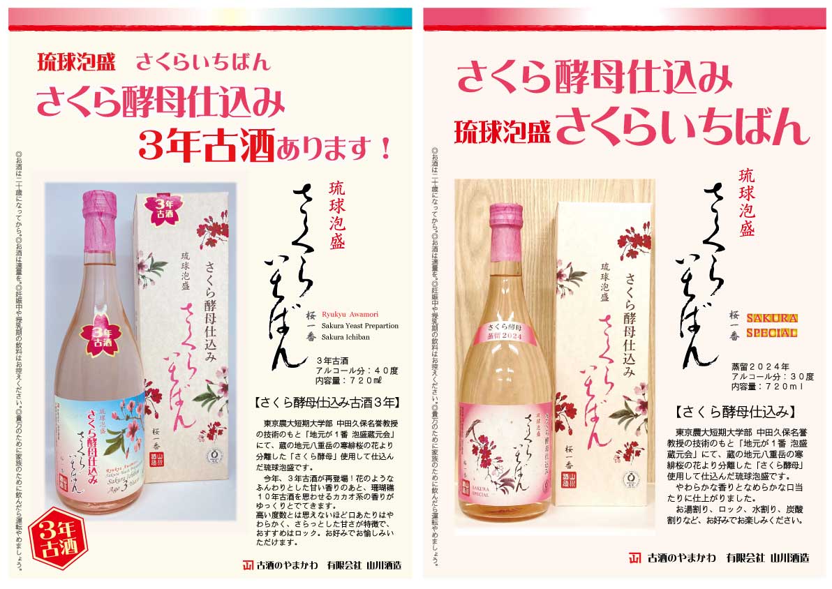 桜祭りありがとうございます！さくら酵母仕込みさくらいちばん蒸留2024