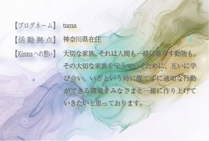監事の齊藤珠美です