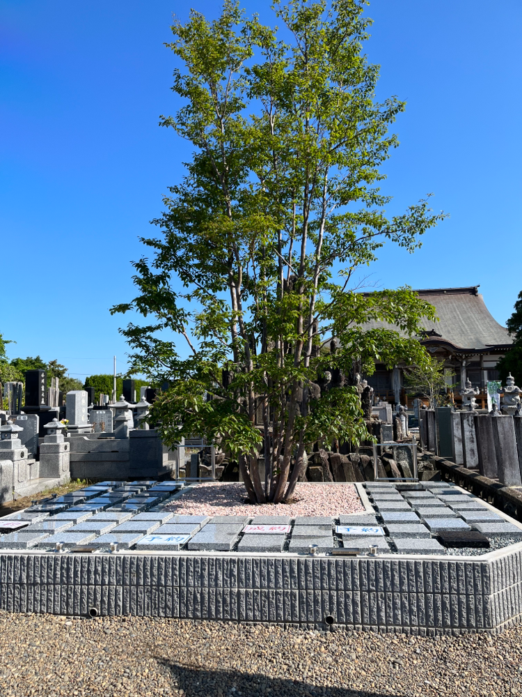 寺院ブログ