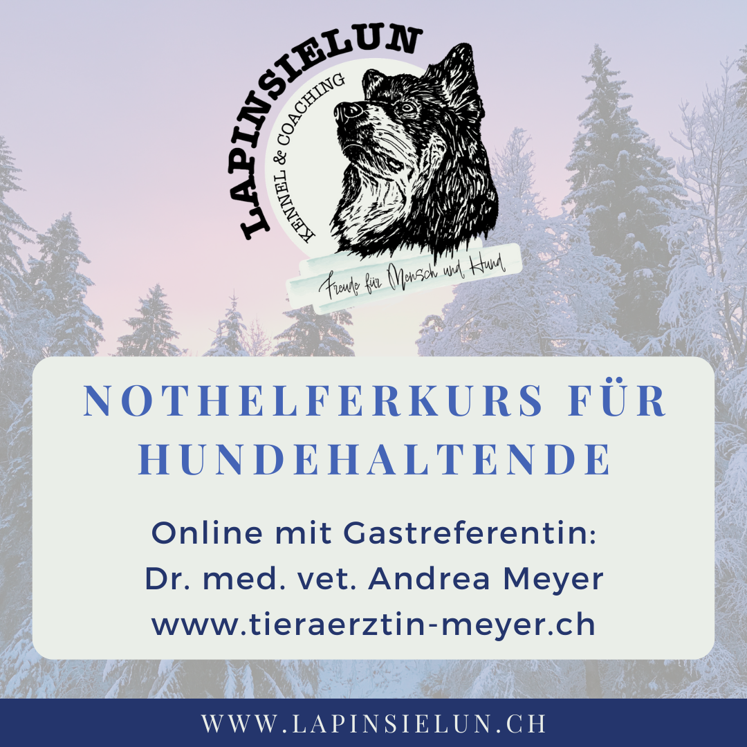 Nothelferkurs für Hundehaltende - Online