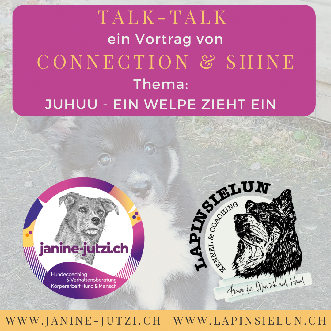 Talk-Talk CONNECTION & SHINE