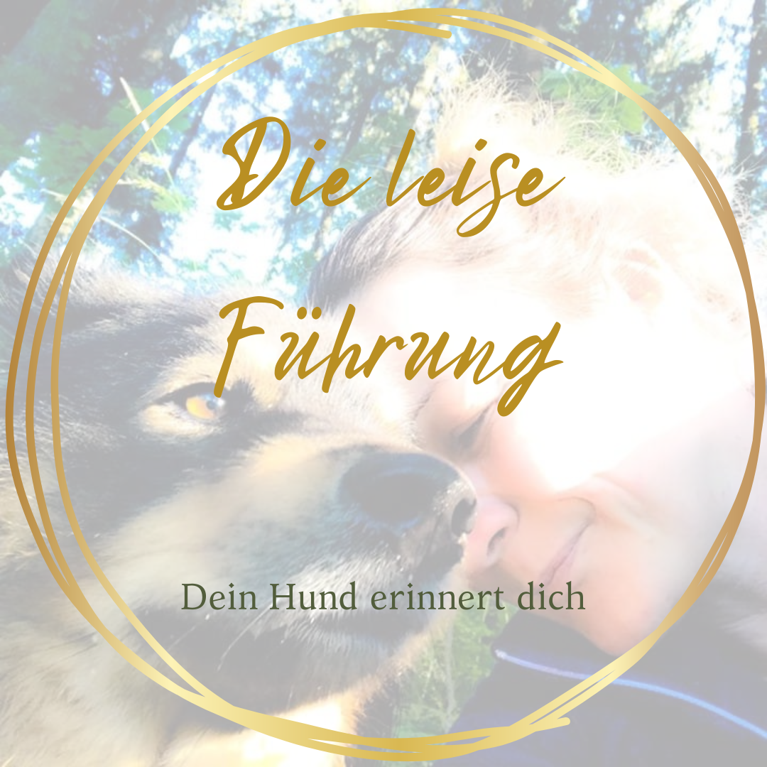 Vielleicht ist dein Hund nicht schwierig - sondern ehrlich