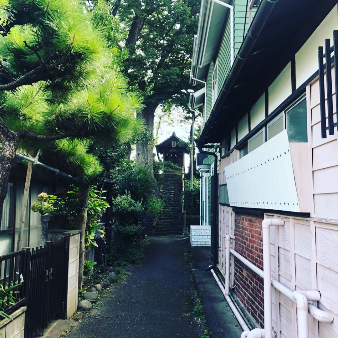 2019年9月23日(月)こだま芸術祭インスタグラムで、愛宕山公園近隣付近の展示会場について紹介されていました。