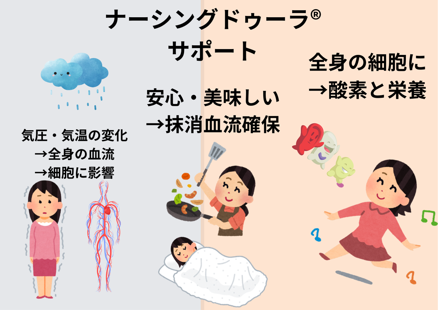 あなたの細胞を応援!!