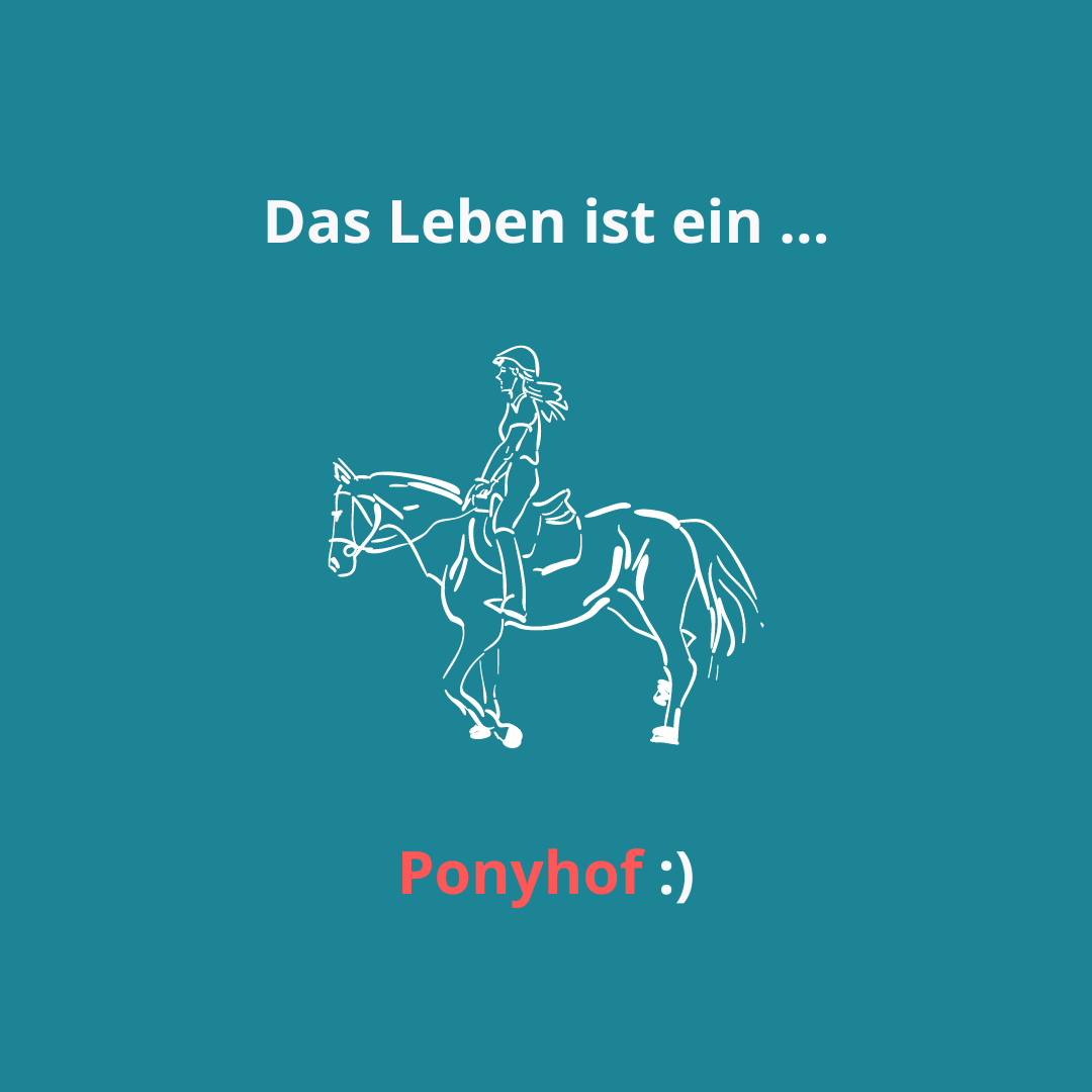 Das Leben ist ein Ponyhof
