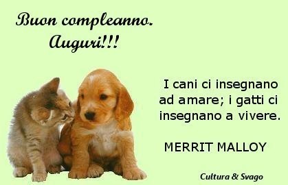 Mille Auguri Cultura Svago