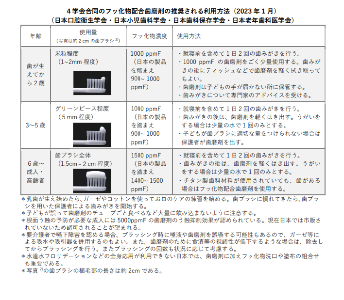 必読です。フッ素(フッ化物)入り歯磨き粉の基準が変わりました