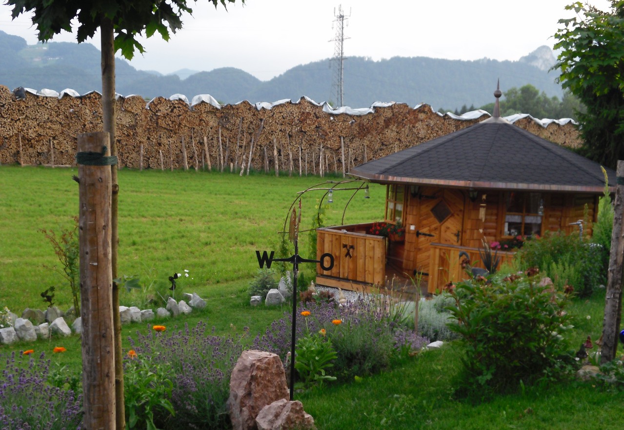 Brennholz und Holzschlägerung - Brückler Brennholz