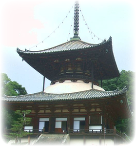 A national treasure large pagoda at Negoro-ji Temple