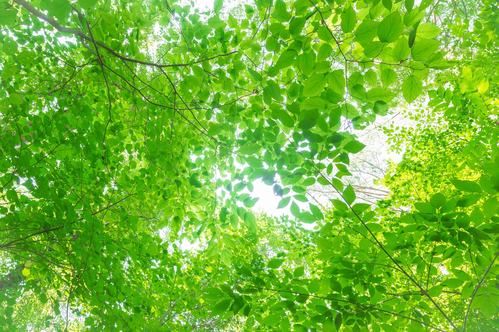 TEST2