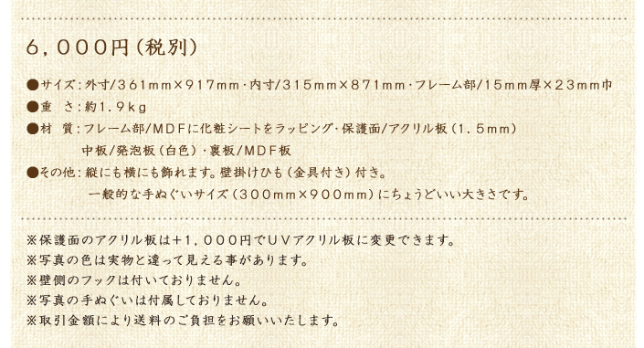 手ぬぐい額カラータイプ