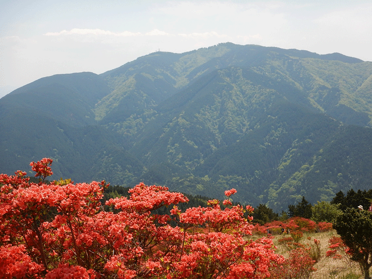 アルペン芦山 Hpへようこそ Alpenrosan Ashiya ページ