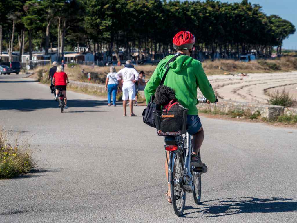  Transport pas commun - Gilliane