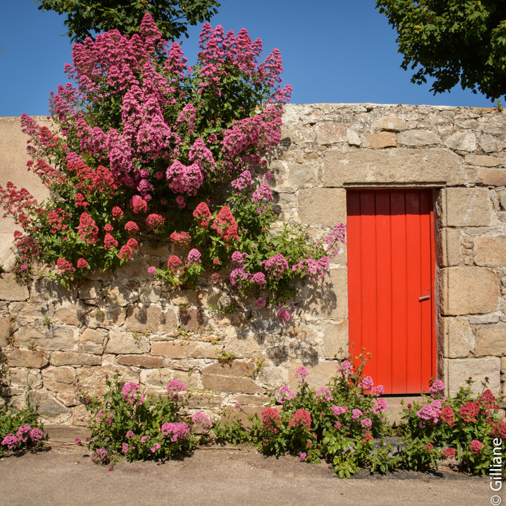 Ile de Batz 