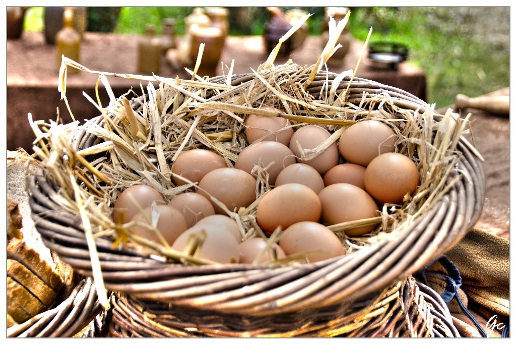 Panier d'oeufs