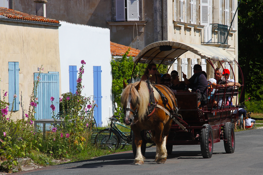 Transport pas commun - Marie Jo