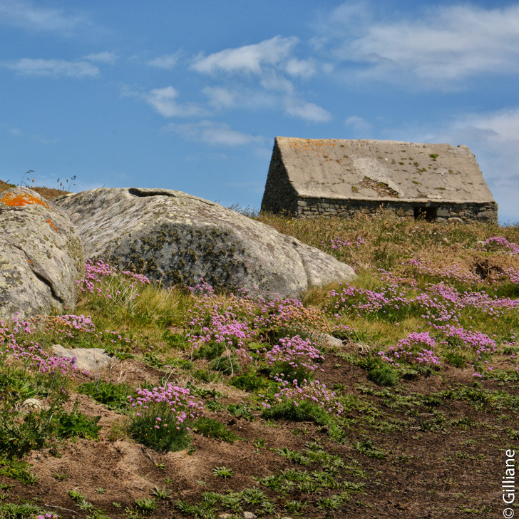 Ile de Batz