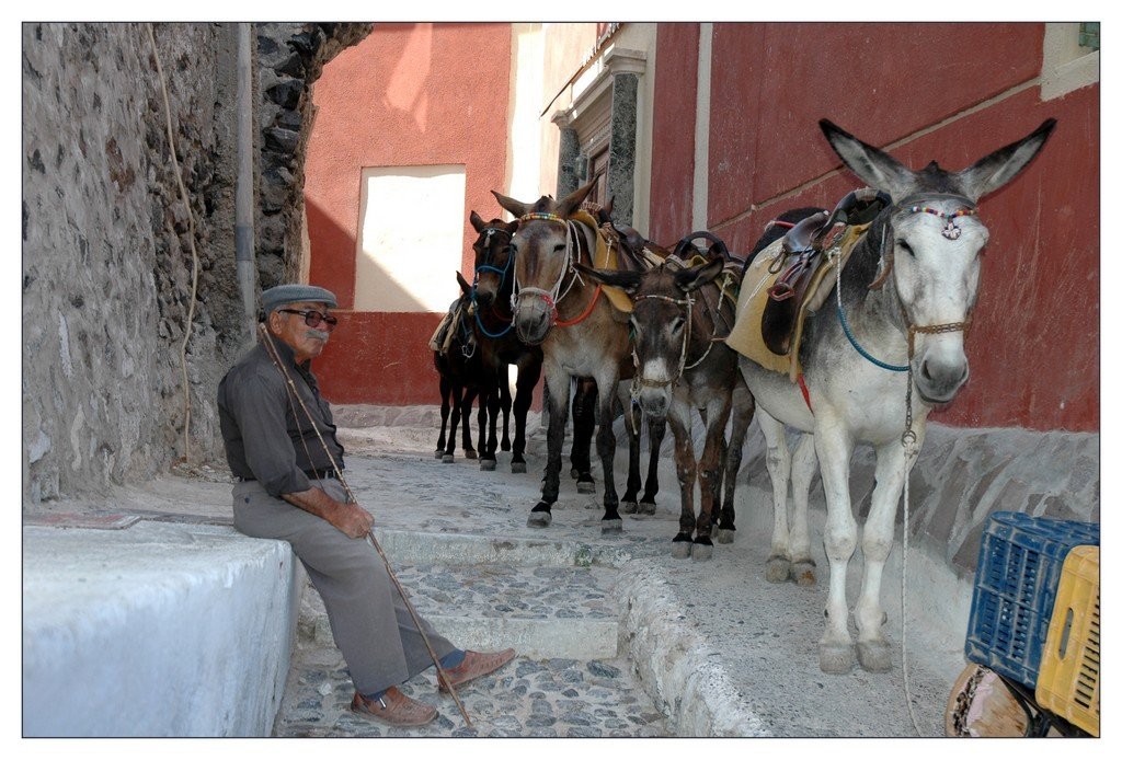 Transports Grecs - Santorin