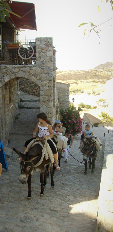 Transport pas commun - Chrystelle