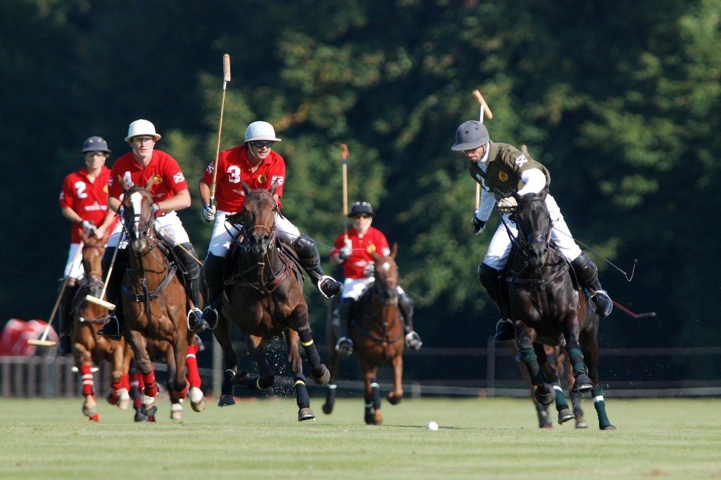 Didier : polo