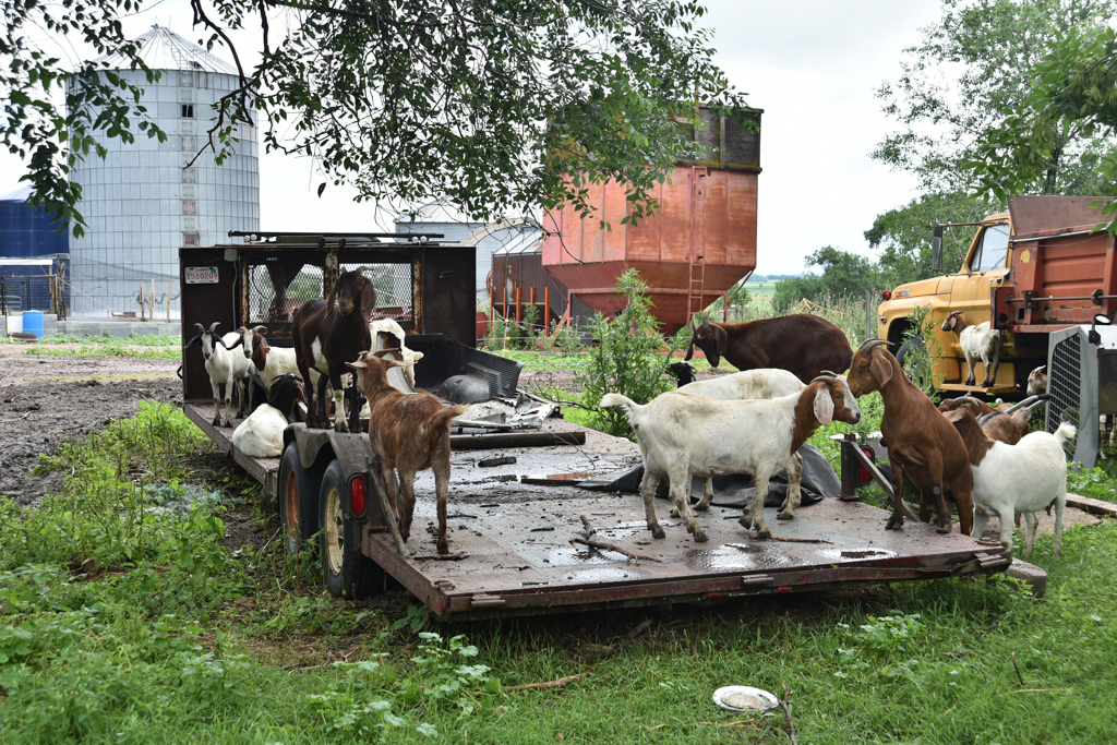 Transport pas commun -Didier