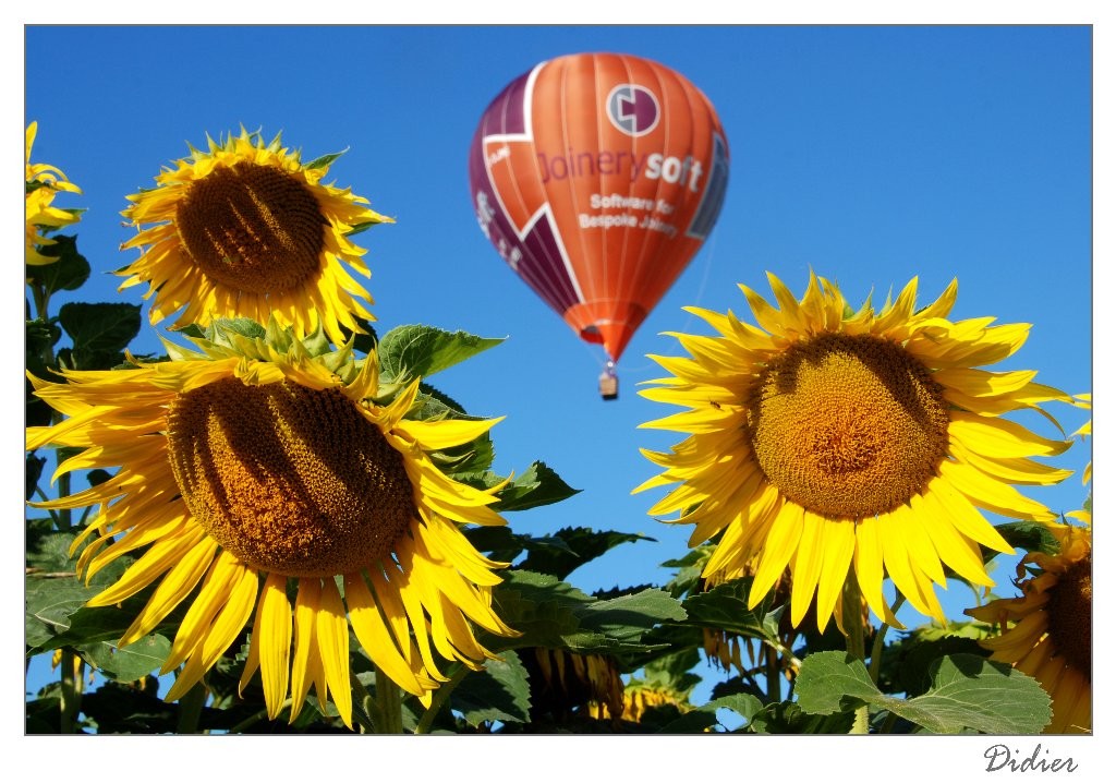 Ballon au soleil