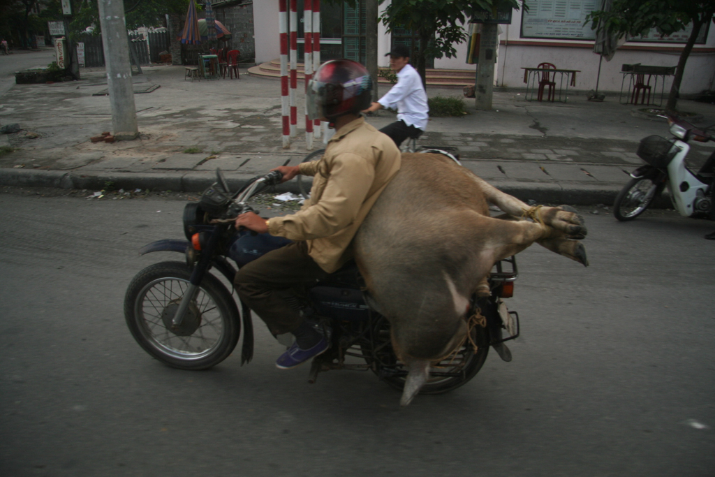 Transport pas commun - André