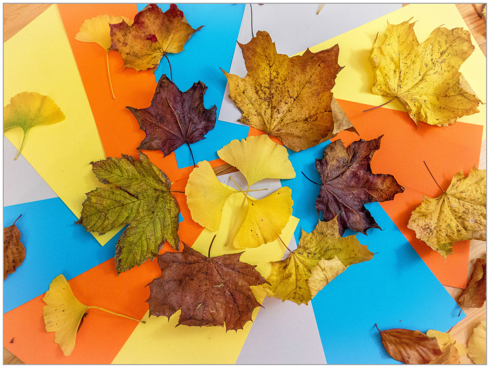 Feuilles et Feuilles en couleur - Gilliane