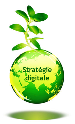 Conseil en stratégie digitale