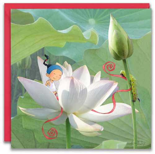 carte postale de Timeliot dans une grosse fleur blanche de lotus. Une chenille passe par là.