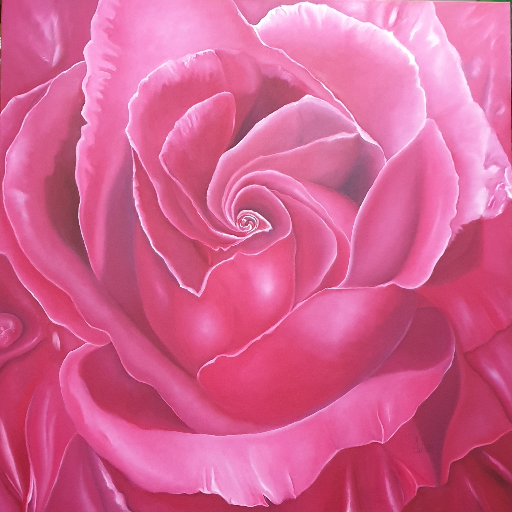 Pink-Rose-100x100cm