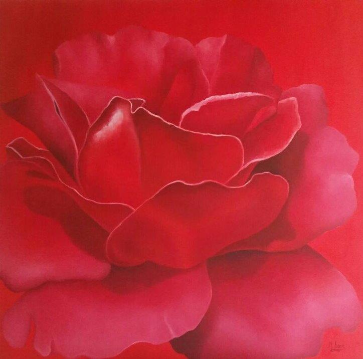 Rote Rose-2016-100x100cm-Oelfarbe-auf-Leinwand-Rosenbild-Rheingau-Blumenmotiv- 