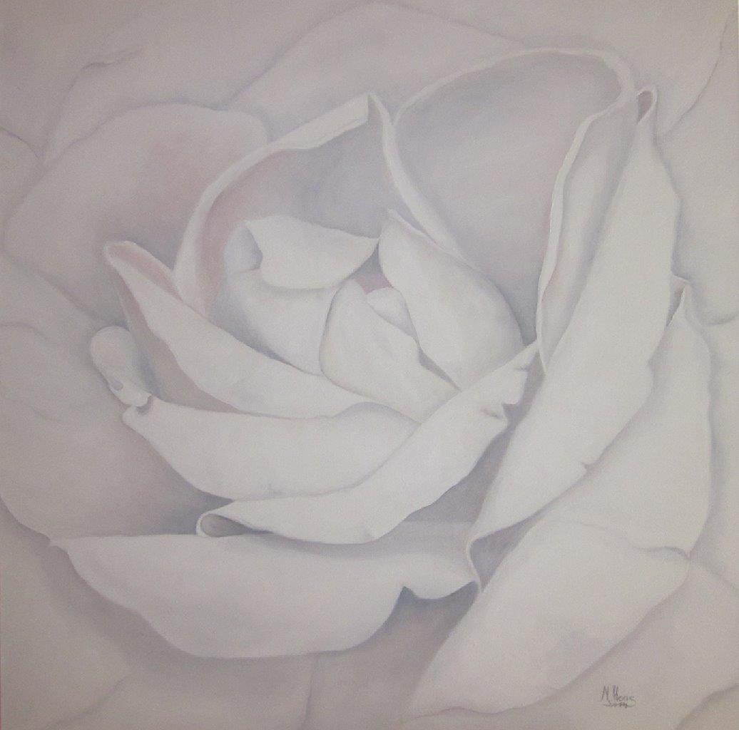 WeißeRose-100x100cm-Ölfarbe-auf-Leinwand