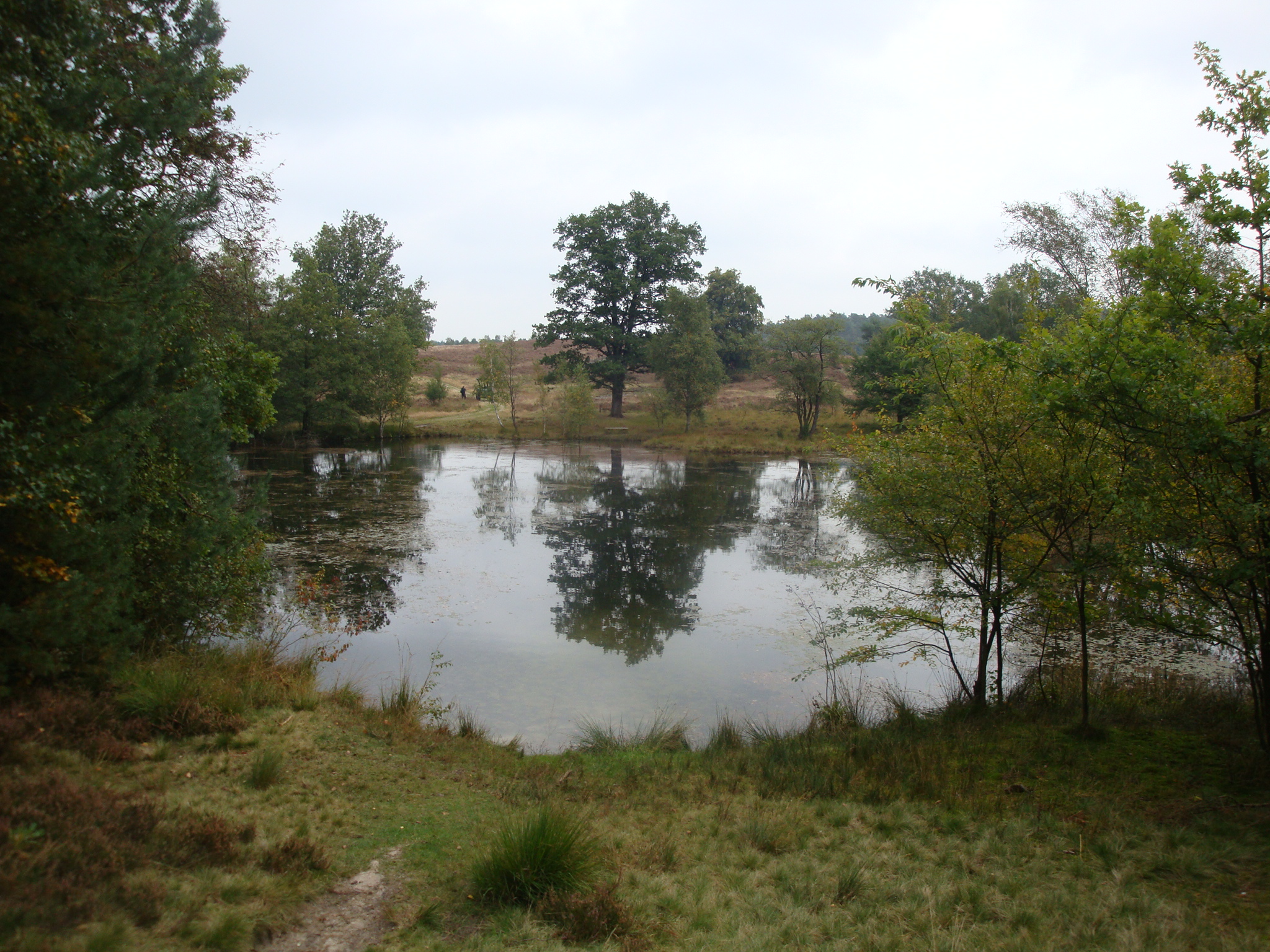 2012 -  Lüneburger Heide