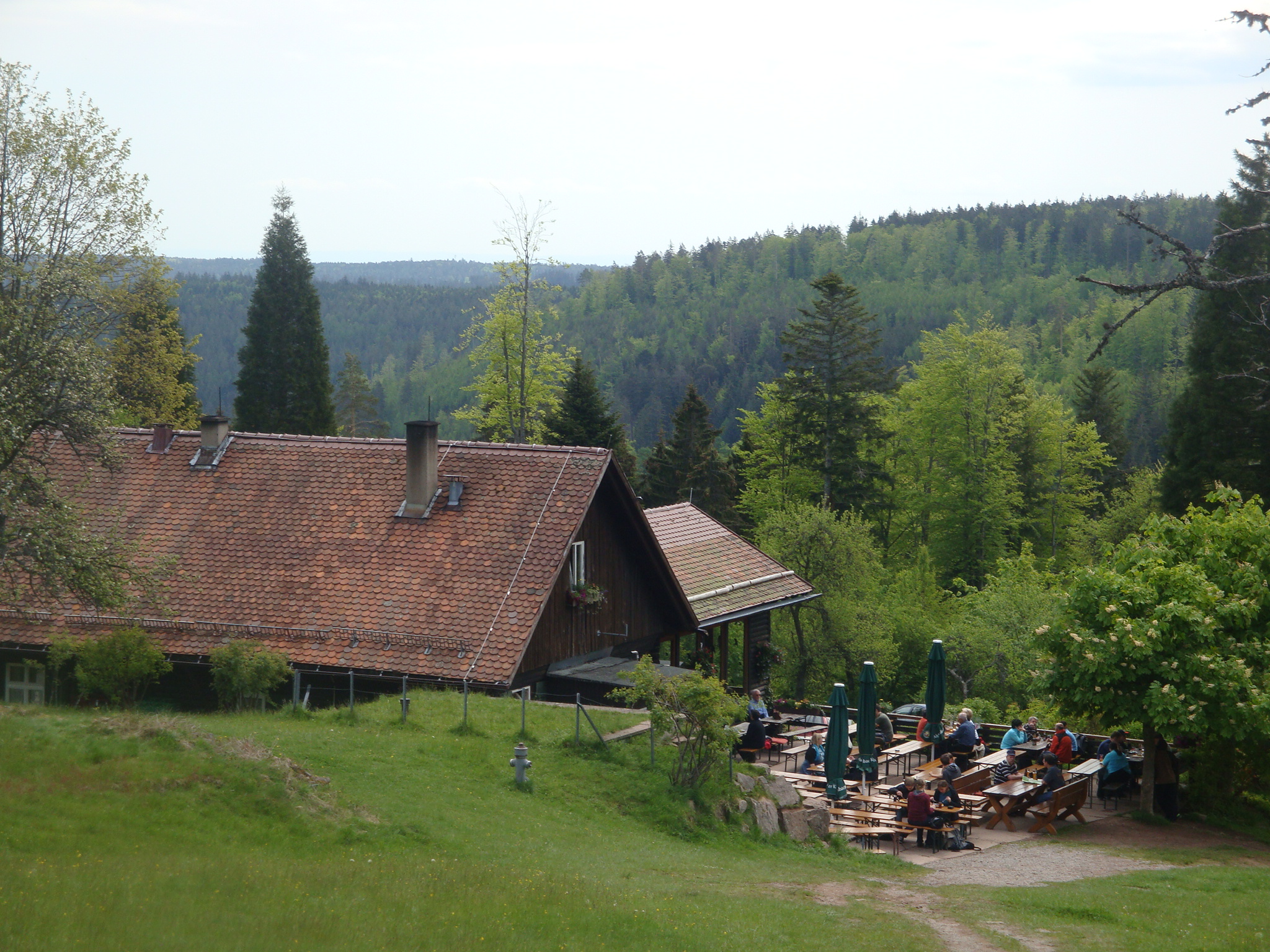 2012 - Nordschwarzwald