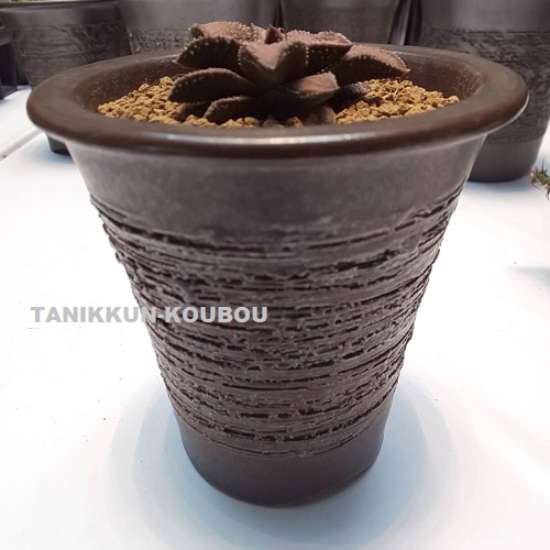 toky✖️katachiseisakujyo陶器鉢