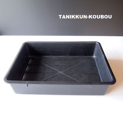 あなたの育苗箱の使い方、間違ってませんか？プロはこう使う！ - 多肉