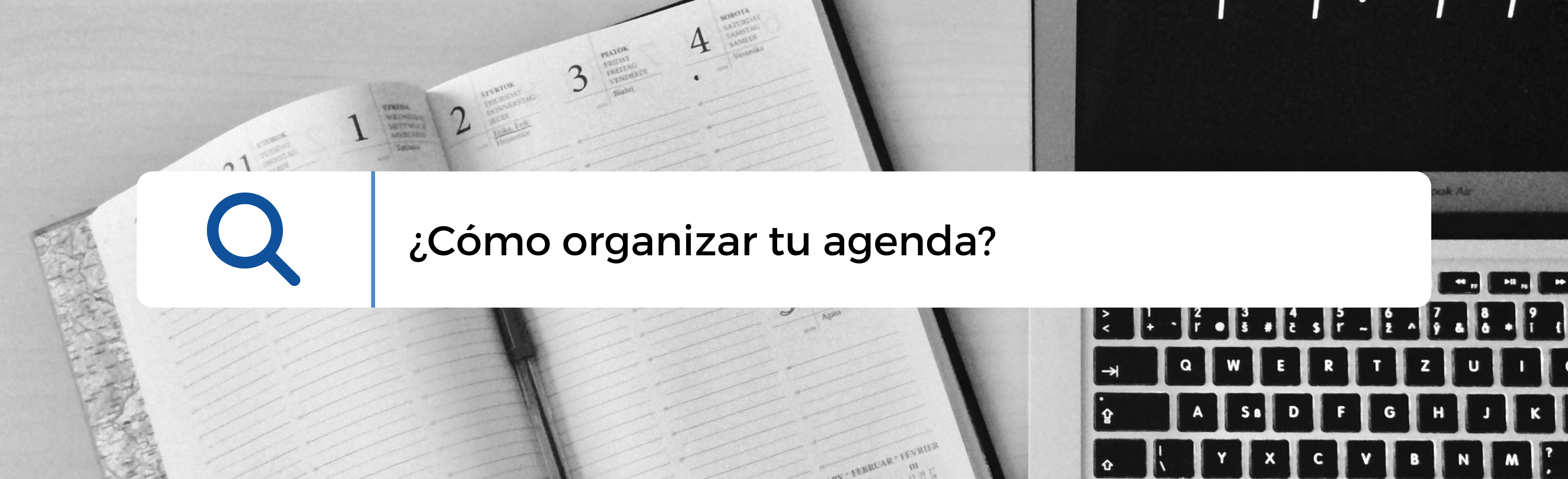 diseño web guadalajara