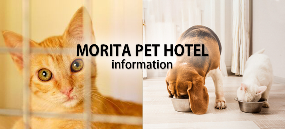 モリタ動物病院
