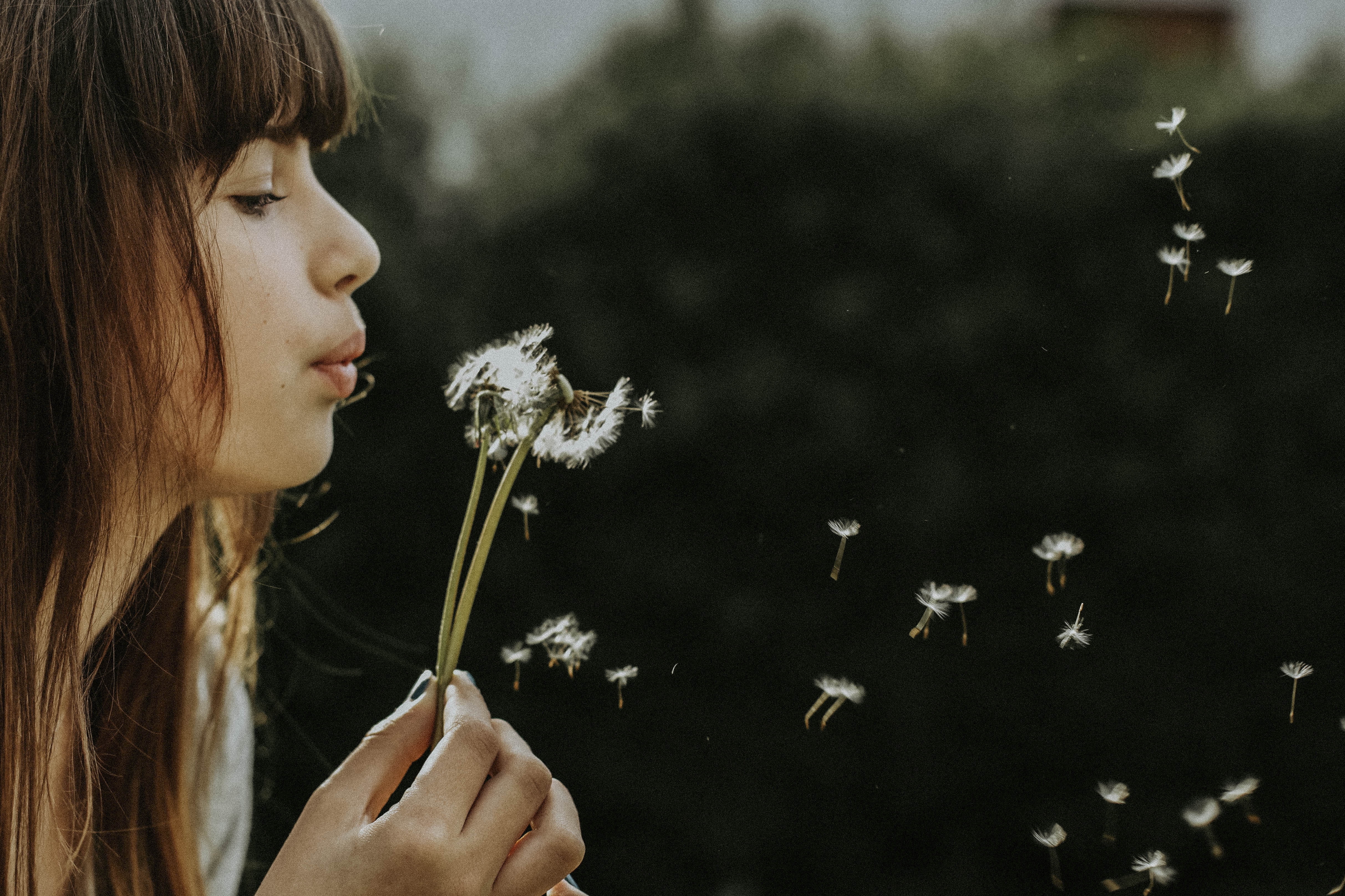 point sur les résolutions, faire le point sur sa vie, coaching de vie