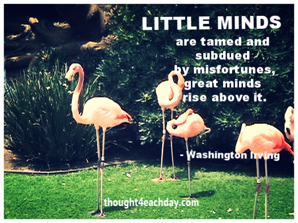Little minds are tamed and subdued by misfortunes, great minds rise above it.  ~ Washington Irving