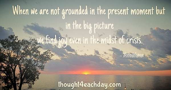 When we are not grounded in the present moment but in the big picture, we find joy even in the midst of crisis.  ~terridraca