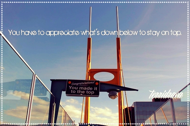 You have to appreciate what's down below to stay on top.  ~terridraca