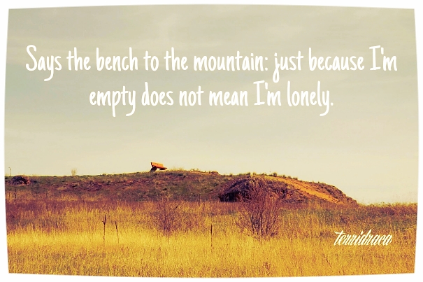 Says the bench to the mountain: just because I'm empty does not mean I'm lonely.