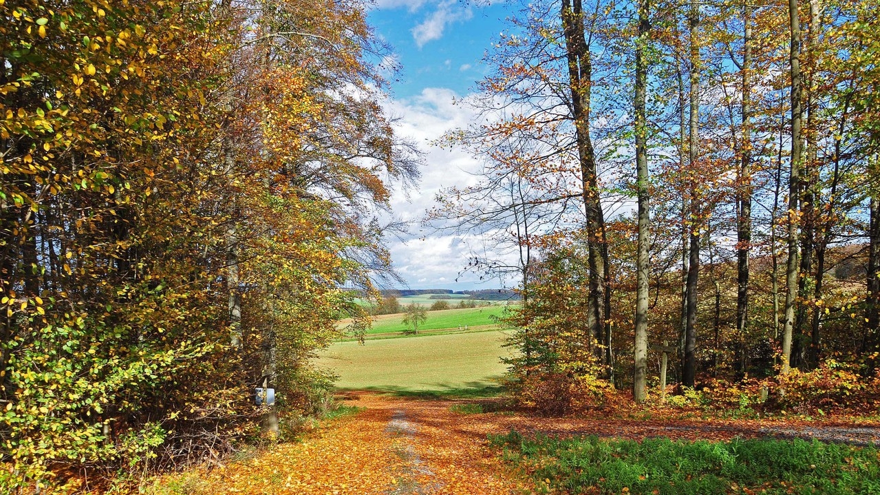 Herbstlicher Wanderweg