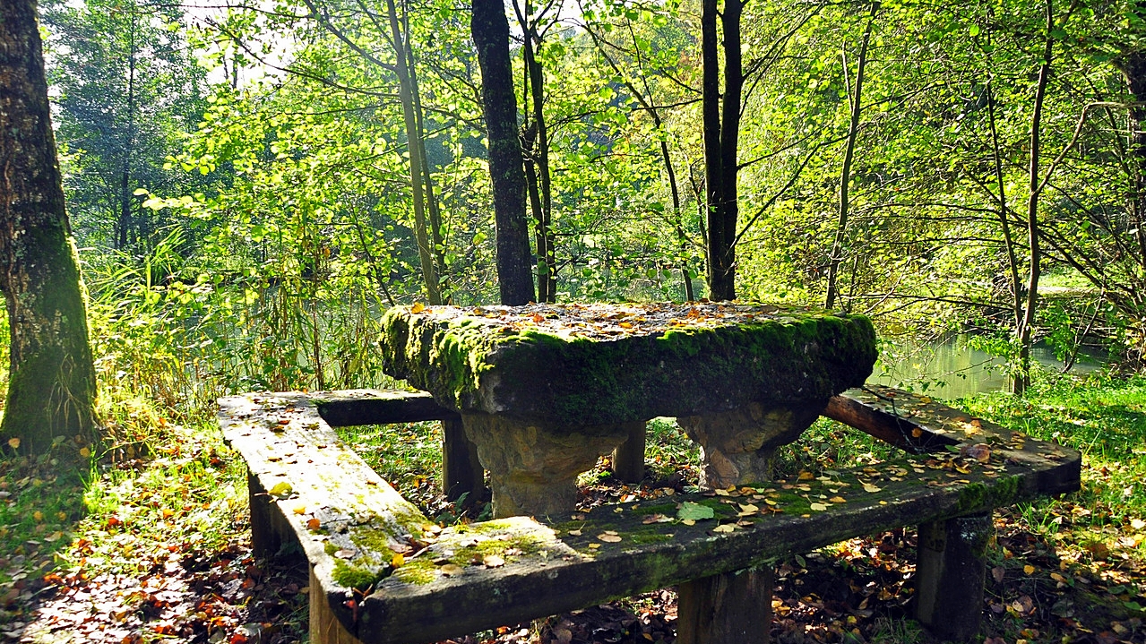 Rastplatz am Henkersbrunnen