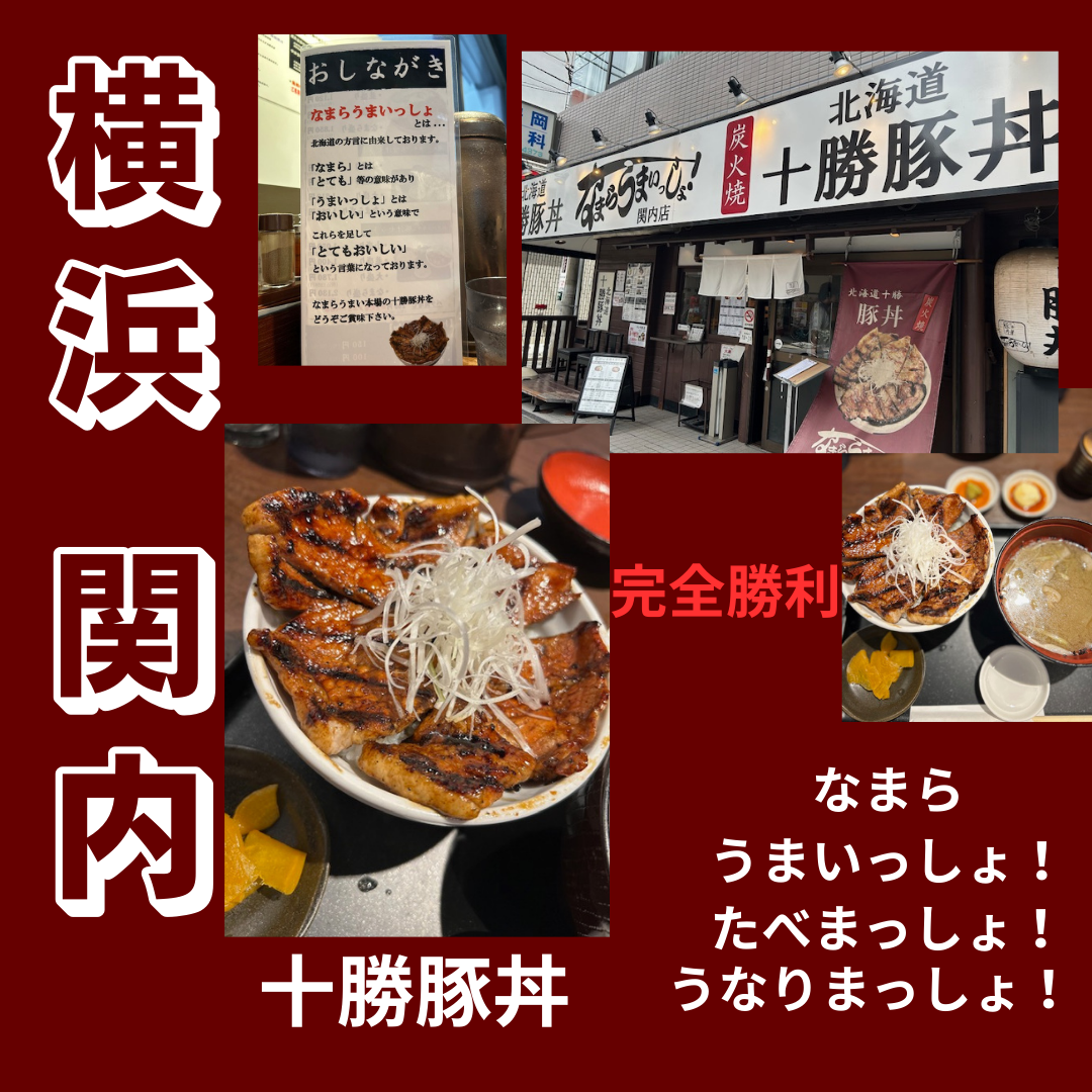 完全勝利！な豚丼