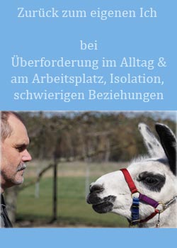 zur Intervention